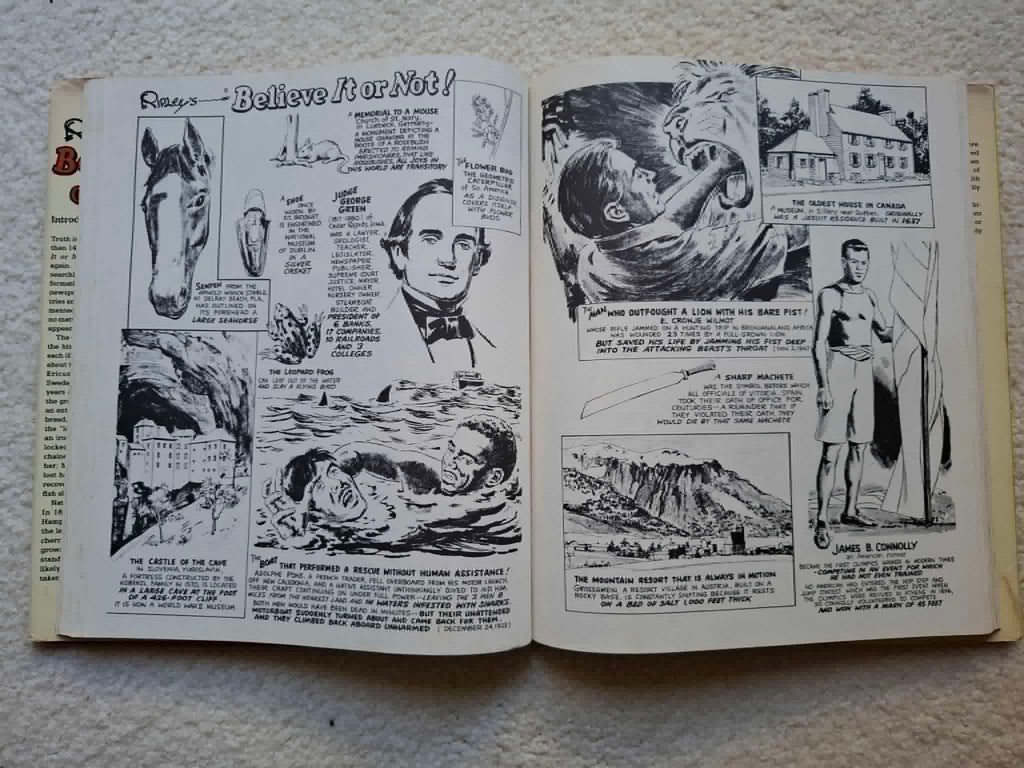 Ripley's Giant Believe It Or Not (1985 edition)