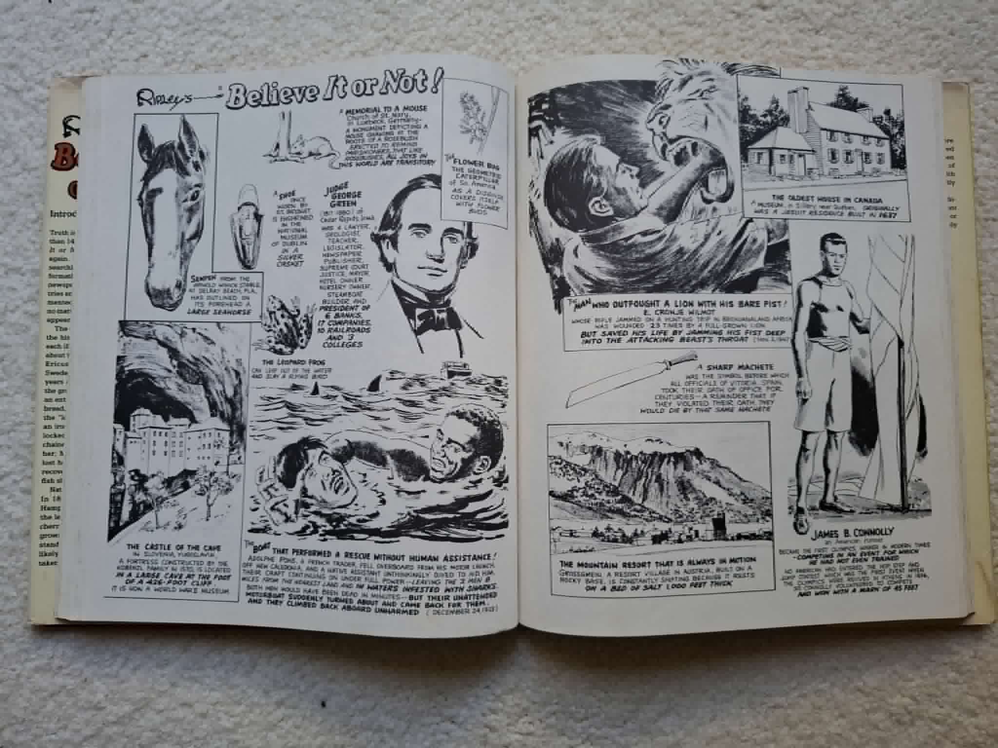 Ripley's Giant Believe It Or Not (1985 edition)